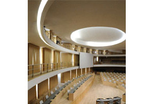 Conception générale de l'éclairage architectural et fonctionnel de l'Hôtel de Région Rhone Alpes